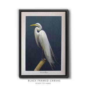 Stampa artistica da parete con airone azzurro / Poster minimalista con uccelli / Qualità museale / Elegante stampa naturalistica per l'arredamento della casa / Poster con stampa di animali