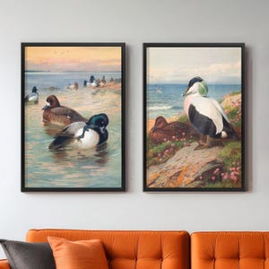 Stampe d'arte retrò all'aperto / Set di 2 stampe da parete all'aperto / Regalo di caccia per papà / Decorazione per baita / Arte murale naturalistica / Poster di germani reali
