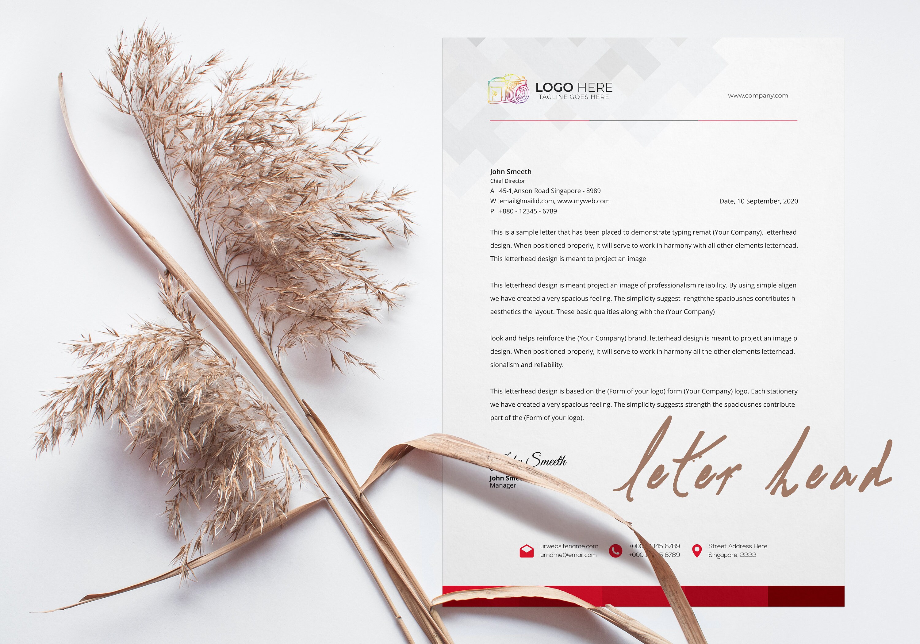 Photography Premium Branding Pack Logo Design Package | Etsy