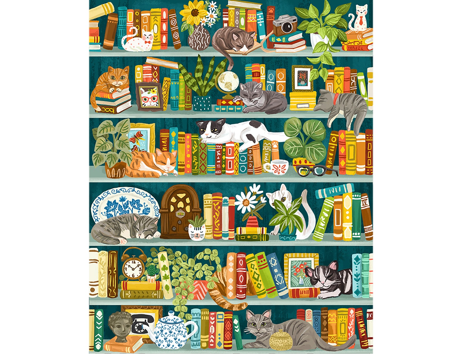CAT LIBRARY Etsy