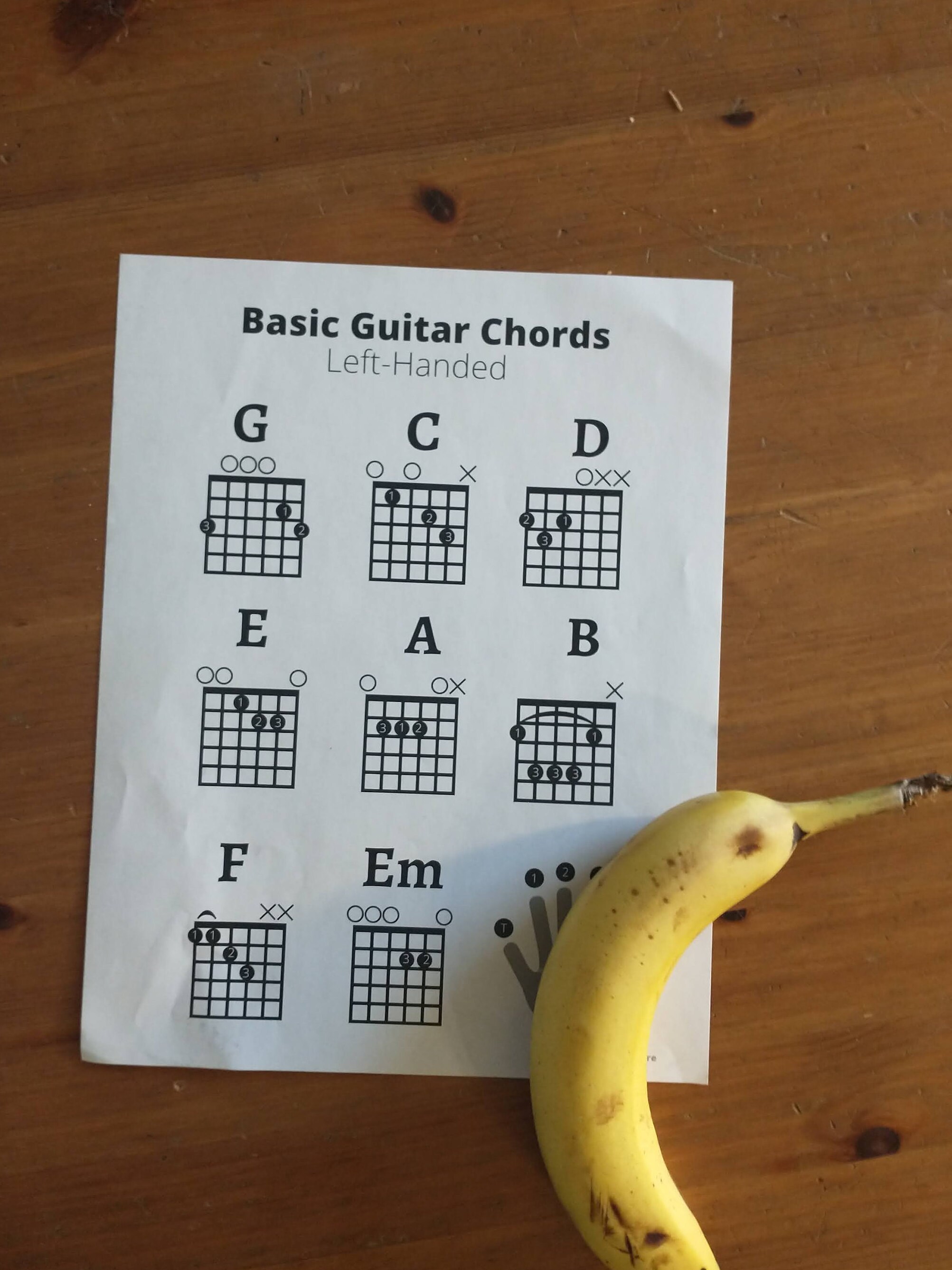 Left Handed Guitar Chords Sheet, Beginner Guitar Chords for Lefties instant Download Perfect