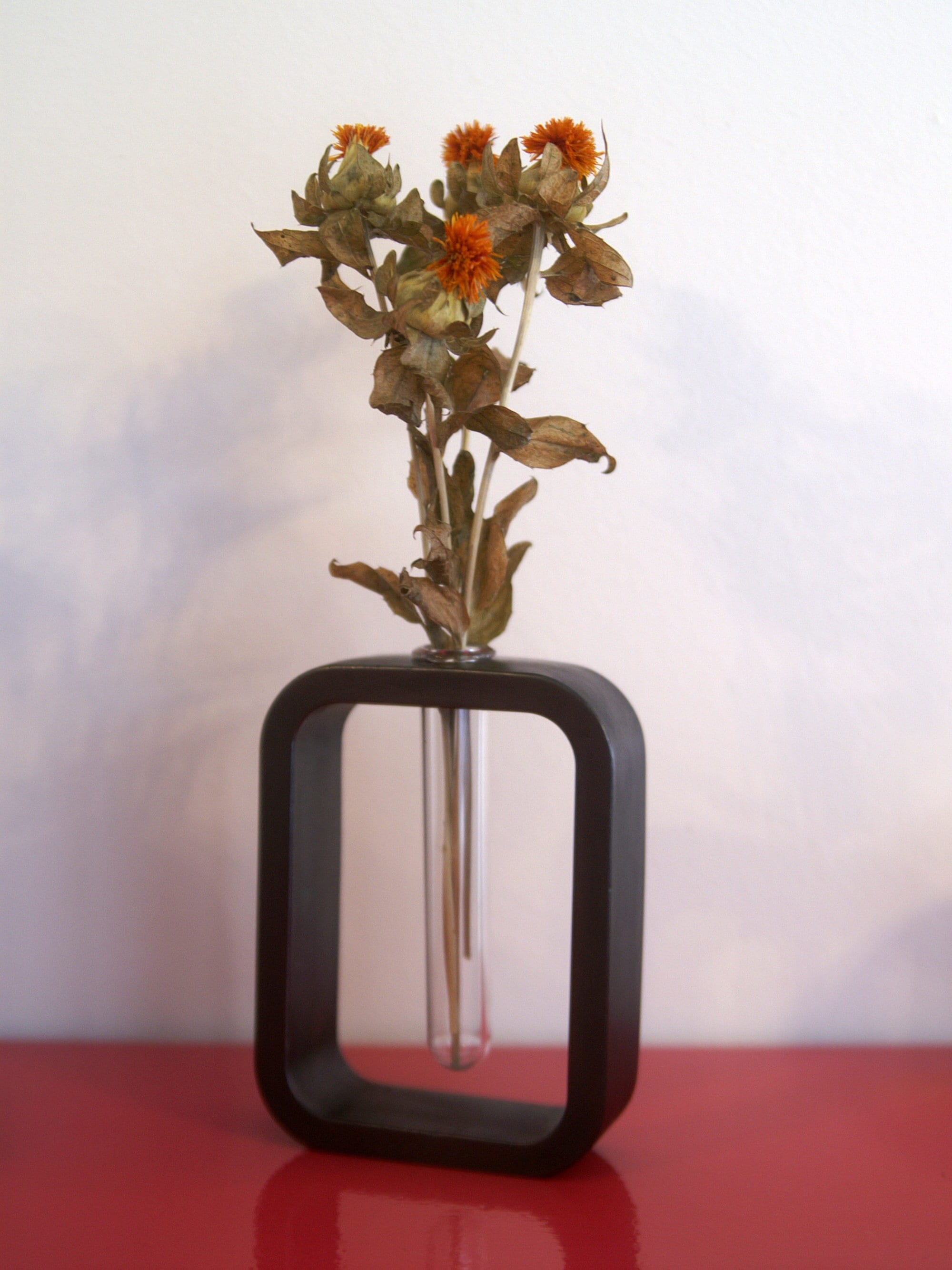 Nother Lot de 5 tubes à essai pour fleurs, vase en verre avec support en  métal, vase hydroponique à charnière, ensemble de centre de table, vase  pour décoration d'intérieur : : Cuisine