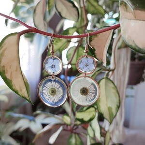May include: Handmade earrings with pressed flowers set in clear resin. The earrings have a copper-coloured metal frame. The top circles contain small blue flowers, while the bottom circles feature white daisies. The earrings hang from copper-coloured ear wires.