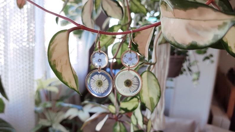 May include: Handmade earrings with pressed flowers set in clear resin. The earrings have a copper-coloured metal frame. The top circles contain small blue flowers, while the bottom circles feature white daisies. The earrings hang from copper-coloured ear wires.