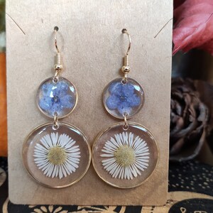 May include: Gold-coloured dangle earrings featuring pressed flowers. Each earring has two clear resin circles, one with a blue flower and the other with a white daisy. The earrings hang from gold-coloured hooks.