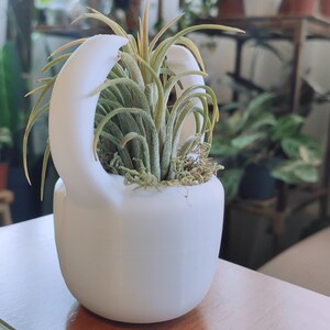 May include: A white ceramic planter shaped like a kettle with two handles, holding a green air plant with moss.