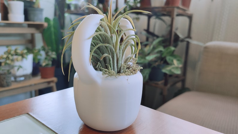 May include: A white ceramic planter shaped like a kettle with two handles, holding a green air plant with moss.