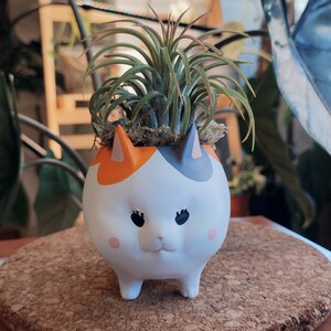 Puede incluir: Un macetero de cer&aacute;mica blanco en forma de gato con marcas naranjas y grises. El macetero tiene una cara linda con ojos negros y una nariz rosa. Una peque&ntilde;a planta de aire verde est&aacute; creciendo en el macetero.
