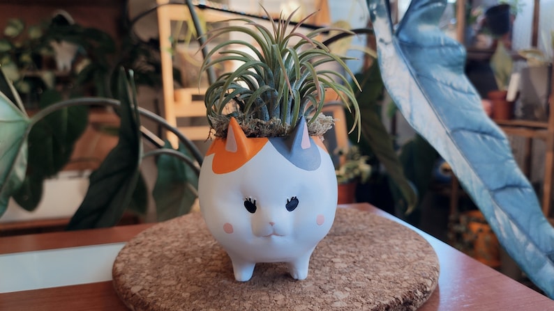 Puede incluir: Un macetero de cer&aacute;mica blanco en forma de gato con marcas naranjas y grises. El macetero tiene una cara linda con ojos negros y una nariz rosa. Una peque&ntilde;a planta de aire verde est&aacute; creciendo en el macetero.