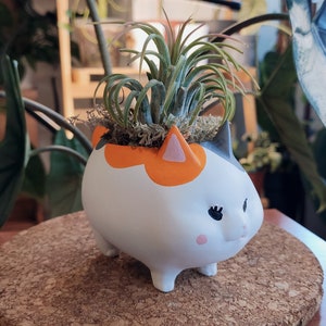 Puede incluir: Un macetero de cer&aacute;mica blanca con forma de gato con marcas naranjas y negras. El macetero tiene una cara de dibujos animados linda con pesta&ntilde;as y una nariz rosa. Una peque&ntilde;a planta de aire est&aacute; creciendo en el macetero.