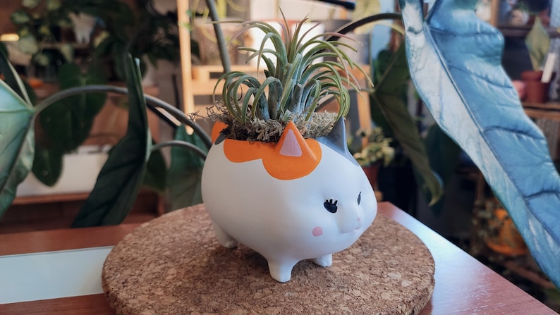 Puede incluir: Un macetero de cer&aacute;mica blanca con forma de gato con marcas naranjas y negras. El macetero tiene una cara de dibujos animados linda con pesta&ntilde;as y una nariz rosa. Una peque&ntilde;a planta de aire est&aacute; creciendo en el macetero.