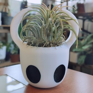 Könnte beinhalten: Ein weißer Keramiktopf in Form eines Charakterkopfes mit zwei schwarzen Augen. Der Topf ist mit einer grünen Luftpflanze gefüllt.