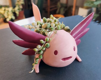 Axolotl plant pot / planter inspired in Final Fantasy XIV 3d printed in PLA