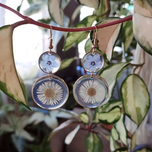 May include: Earrings with pressed flowers. Each earring has two clear, circular sections. The top section holds a small blue flower, and the bottom section features a white daisy. The earrings have gold-tone metal detailing.