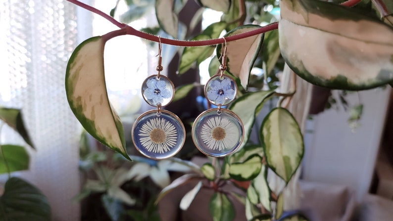 May include: Earrings with pressed flowers. Each earring has two clear, circular sections. The top section holds a small blue flower, and the bottom section features a white daisy. The earrings have gold-tone metal detailing.