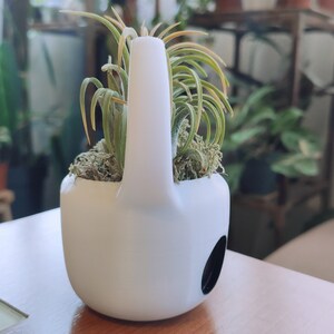 May include: White ceramic planter shaped like a teapot with a handle, holding a green air plant. The planter has a drainage hole.