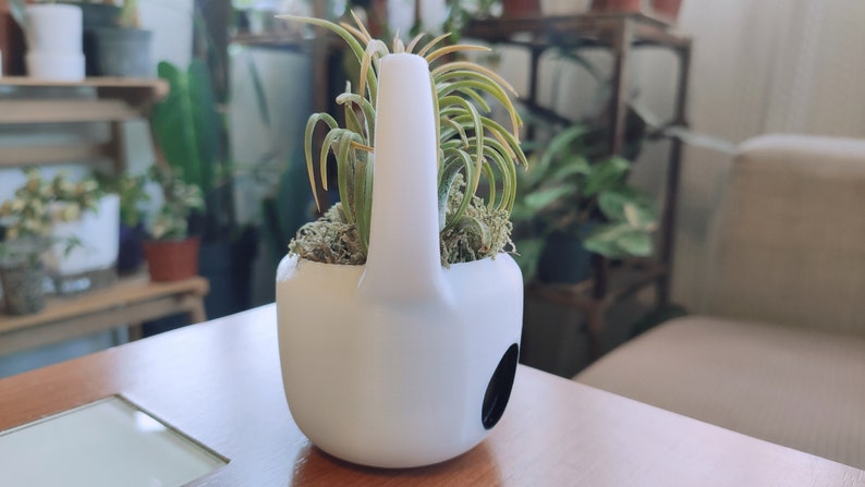May include: White ceramic planter shaped like a teapot with a handle, holding a green air plant. The planter has a drainage hole.