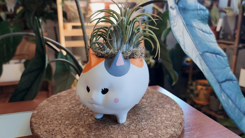 Puede incluir: Un macetero de cer&aacute;mica blanca con forma de gato con marcas naranjas y grises, con una peque&ntilde;a planta de aire creciendo en su interior. El macetero tiene una cara de dibujos animados linda con ojos negros y mejillas rosadas.