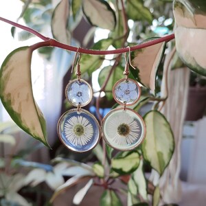 May include: Dangle earrings with pressed flowers set in clear resin. The earrings have a copper-coloured metal frame. One earring has two blue flowers, and the other has a white daisy and a blue flower. The earrings are suspended from a plant.