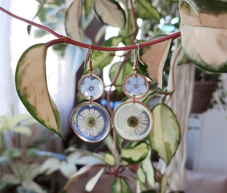 May include: Dangle earrings with pressed flowers set in clear resin. The earrings have a copper-coloured metal frame. One earring has two blue flowers, and the other has a white daisy and a blue flower. The earrings are suspended from a plant.