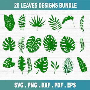 Tropical leaves svg, monstera leaf svg clipart, commercial use svg, jungle leaves clipart, palm branch svg, tropical party decor