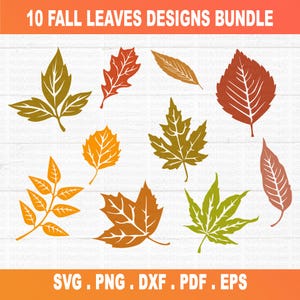 Fall leaves svg bundle, Autumn leaves svg, leaf svg png clipart, fall leaf pattern svg, fall svg autumn svg, nature svg, png, cut file