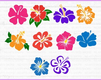 Hibiscus SVG Bundle, Tropical Flower Designs, Hawaiian Floral Clipart, Cut File, Cricut, Silhouette Cameo