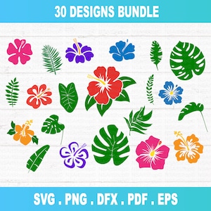 Flowers svg, flower svg, Hibiscus svg, tropical flower svg, hawaiian flower svg, Hawaii svg, Cut file for cricut, silhouette