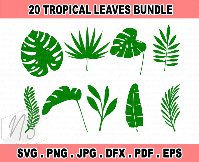 Flowers Svg Flower Svg Hibiscus Svg Tropical Flower Svg | Etsy