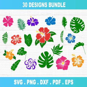 Fiori svg, fiore svg, ibisco svg, fiore tropicale svg, fiore hawaiano svg, Hawaii svg, file di taglio per cricut, silhouette