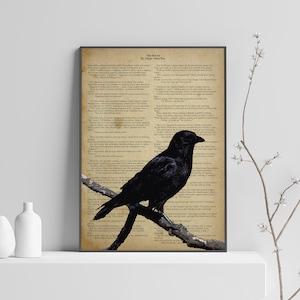 Puede incluir: Un póster de estilo vintage con un cuervo negro posado en una rama. El póster incluye el texto "The Raven" de Edgar Allan Poe y el poema completo. El fondo es un papel de color crema con un aspecto desgastado.