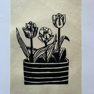 Tulips