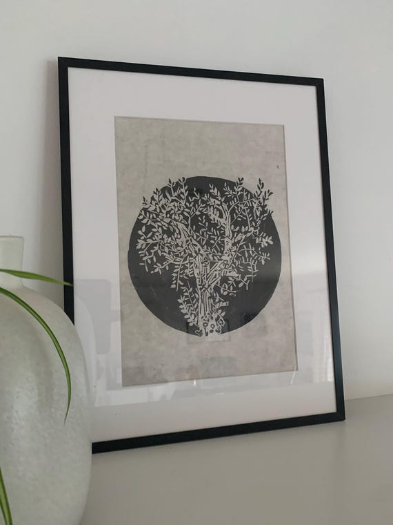 zwerg stechpalme Zwerg-Stechpalme - Ilex crenata Stokes