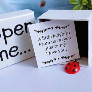 Ciondolo coccinella in scatola con biglietto con messaggio, regali con ciondolo coccinella, regalo con ciondolo con messaggio, ciondoli, regali di compleanno con ciondolo coccinella