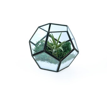 Geometric Terrarium black frame DIY Kit • 1 Air plant and Gravel Included • Choice of 8 Reindeer moss colours