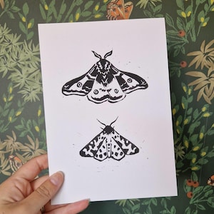 Hand-printed Moth Lino Print, Black and White, Emperor and Tiger Moth, Unique Original Artwork, A5 Art