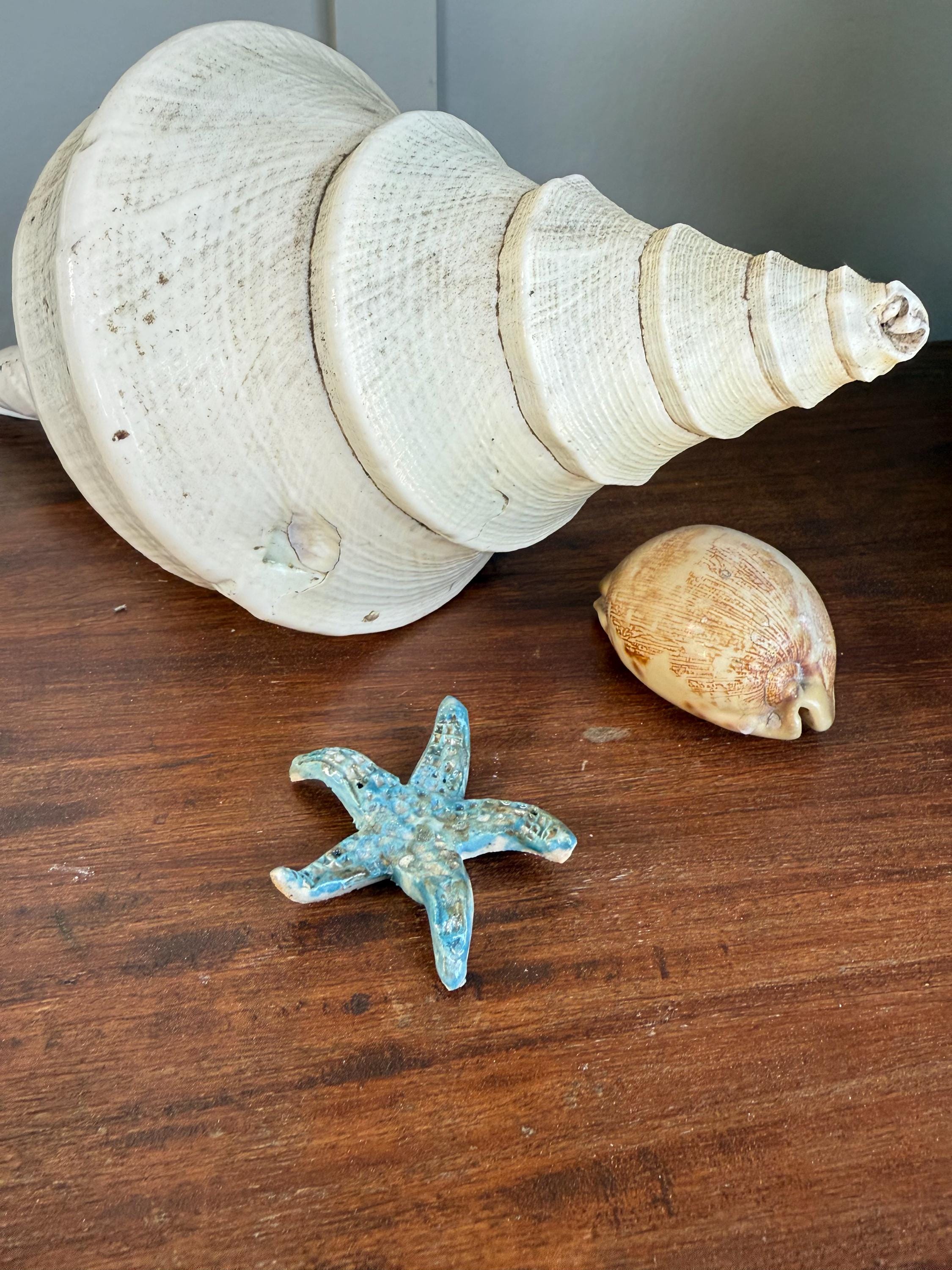 Handmade Ceramic Starfish – Small Beach Decor Accent – Coastal Paperweight or Ocean-Inspired Gift
