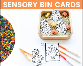 Thanksgiving Sensory Bin Cards | OT Fine Motor Skills (Digital Download)