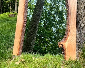 Live Edge Framed Mirrors - Unique and Rustic Designs