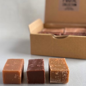 Op de afbeelding: Drie fudge-vierkanten in een doos. De fudge-vierkanten zijn bruin, lichtbruin en donkerbruin. De doos is van karton en heeft een label met de tekst "Fudge Collection".