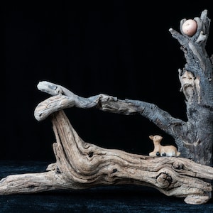 Driftwood Sculpture w/ Cute Deer and Oak Apple