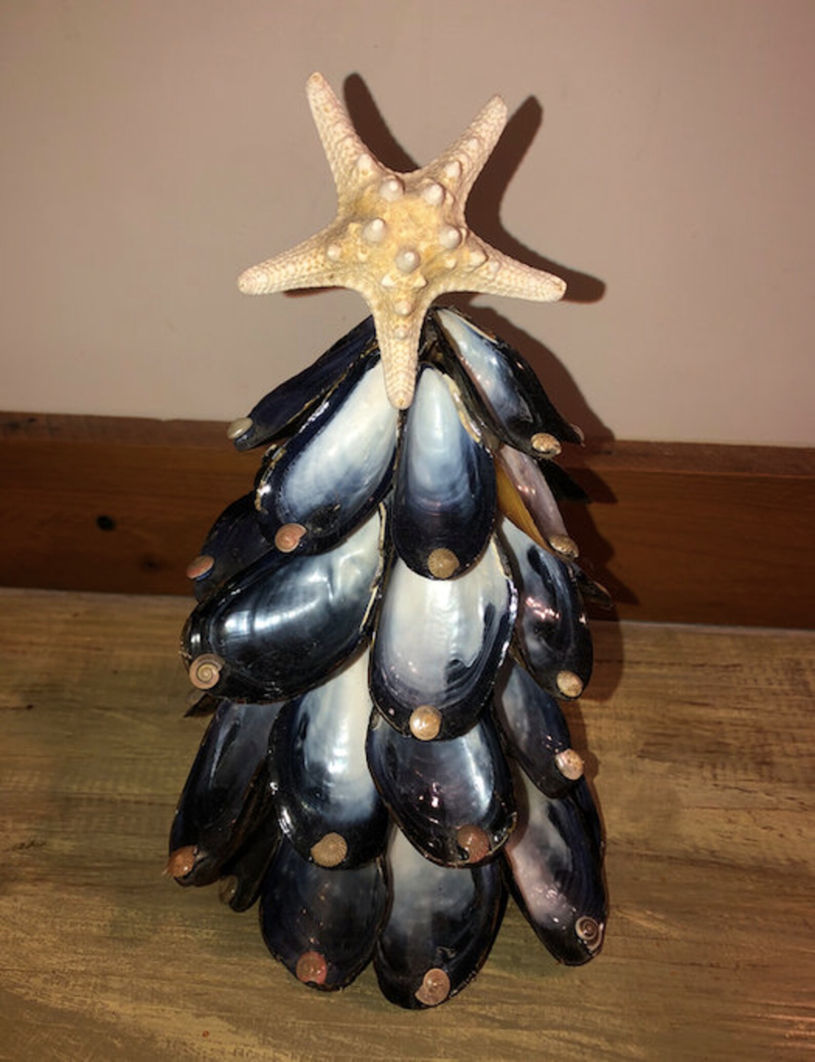 Muscle Shell Christmas Tree Etsy