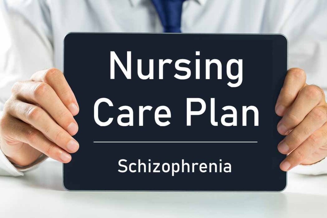 Nursing Care Plan Schizophrenia Printable PDF Immediate Etsy