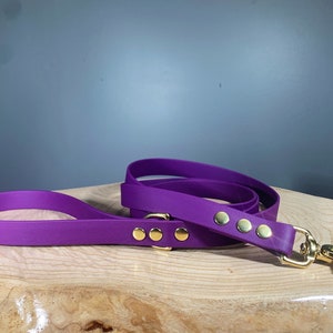 Custom Classic Waterproof Biothane Leash with Solid Brass Hardware Made With Biothane