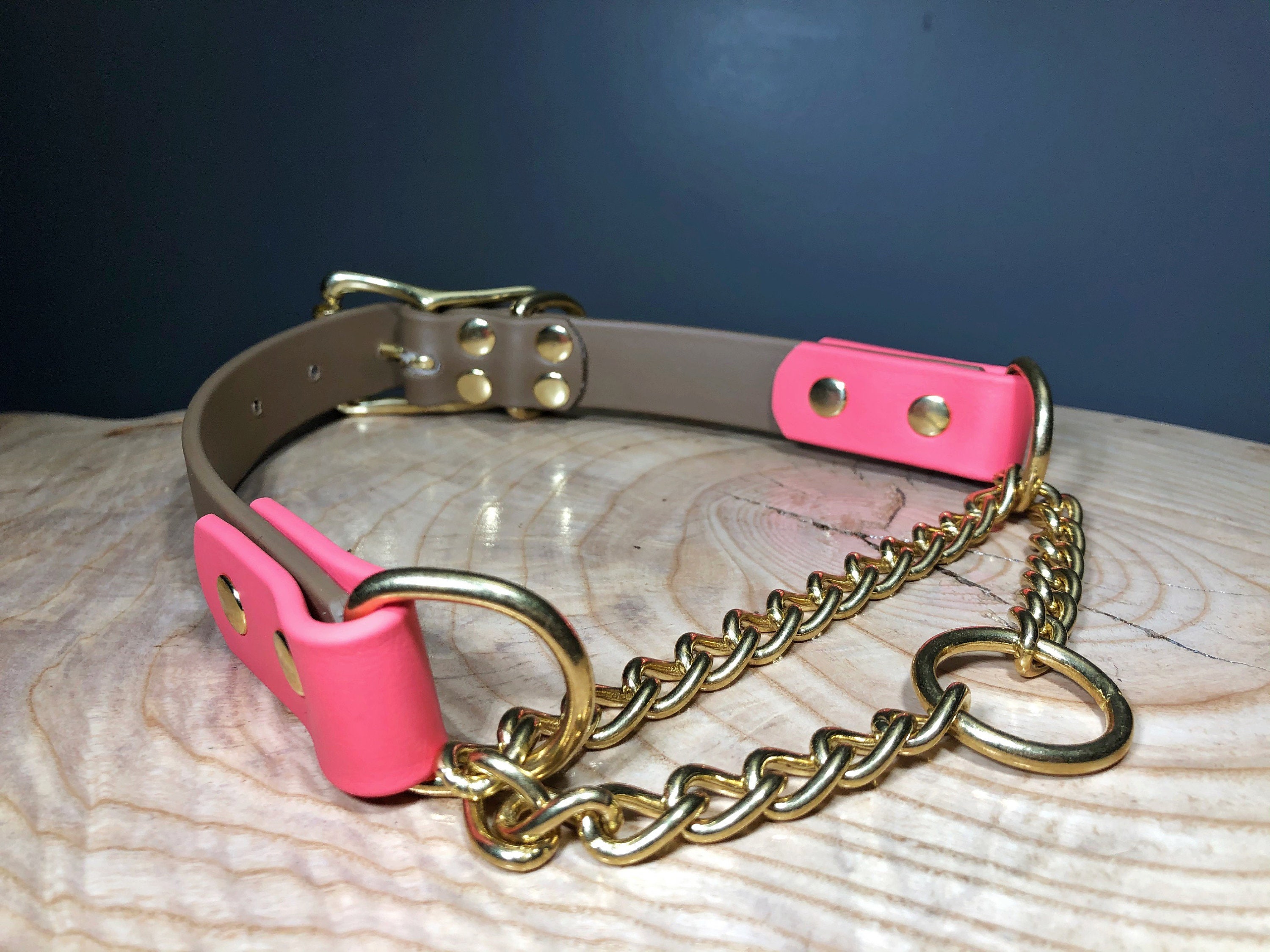 custom martingale dog collars