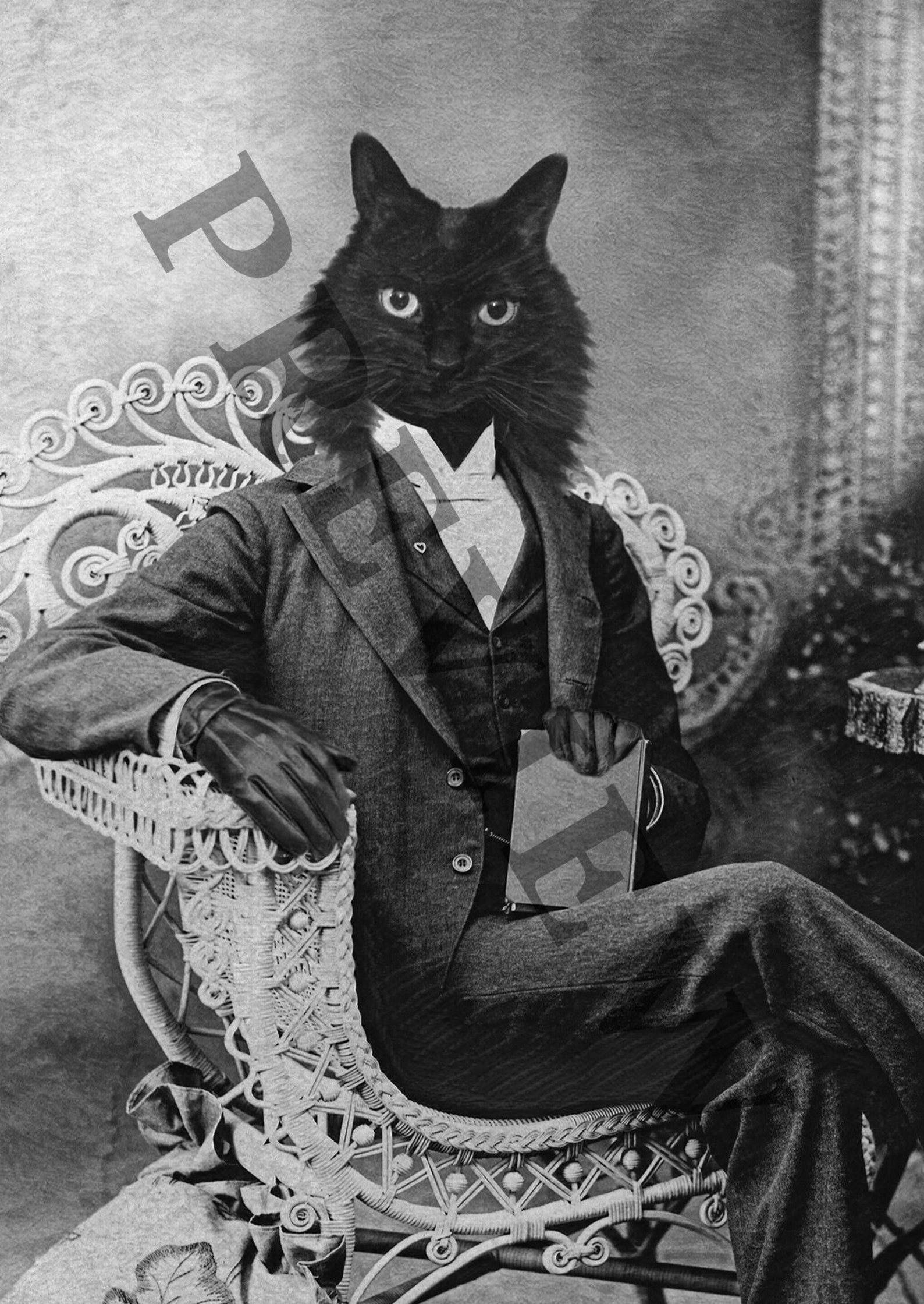 Black Cat Wall Art Print Vintage Historical Victorian Animal Etsy