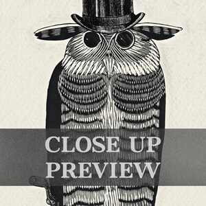 Gentleman Owl Vintage Style Print - 18th Century Victorian Wall Art - Owl Bird with Unicycle, Top Hat & Monocle - Steampunk Illustration image 4