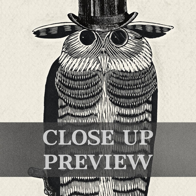 Gentleman Owl Vintage Style Print - 18th Century Victorian Wall Art - Owl Bird with Unicycle, Top Hat & Monocle - Steampunk Illustration image 4