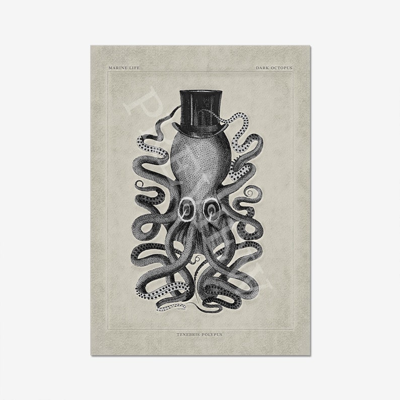 Op de afbeelding: Een zwart-witte illustratie van een octopus die een hoge hoed draagt. De octopus wordt omringd door zijn tentakels. De tekst "MARINE LIFE", "DARK OCTOPUS" en "TENERIS POLYPUS" staat onder de octopus.