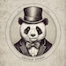 Vintage Panda